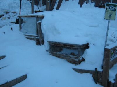 Seed Catalogs In January Image